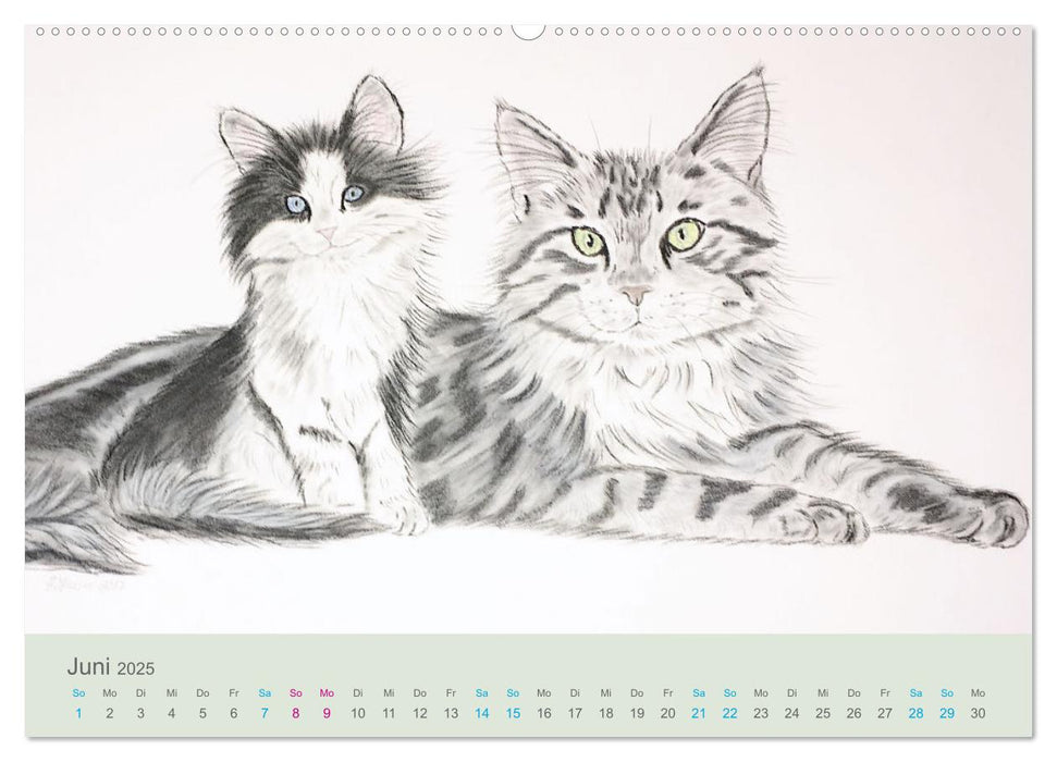 PortraiTierART KATZEN (CALVENDO Premium Wandkalender 2025)