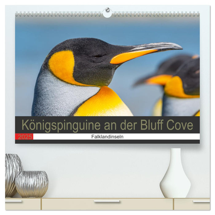 Königspinguine an der Bluff Cove (CALVENDO Premium Wandkalender 2025)