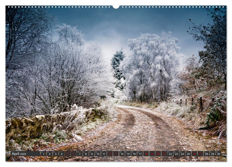 Ich liebe Winter (CALVENDO Premium Wandkalender 2025)