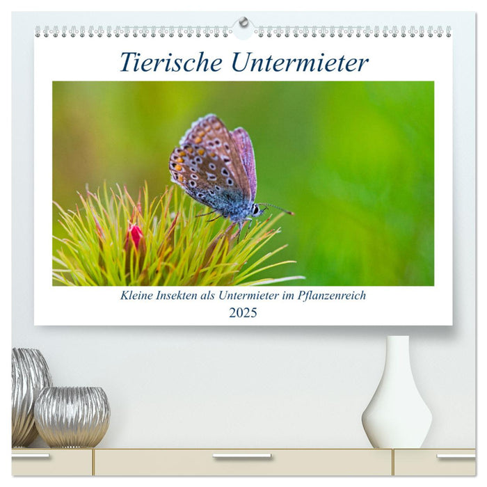 Tierische Untermieter (CALVENDO Premium Wandkalender 2025)