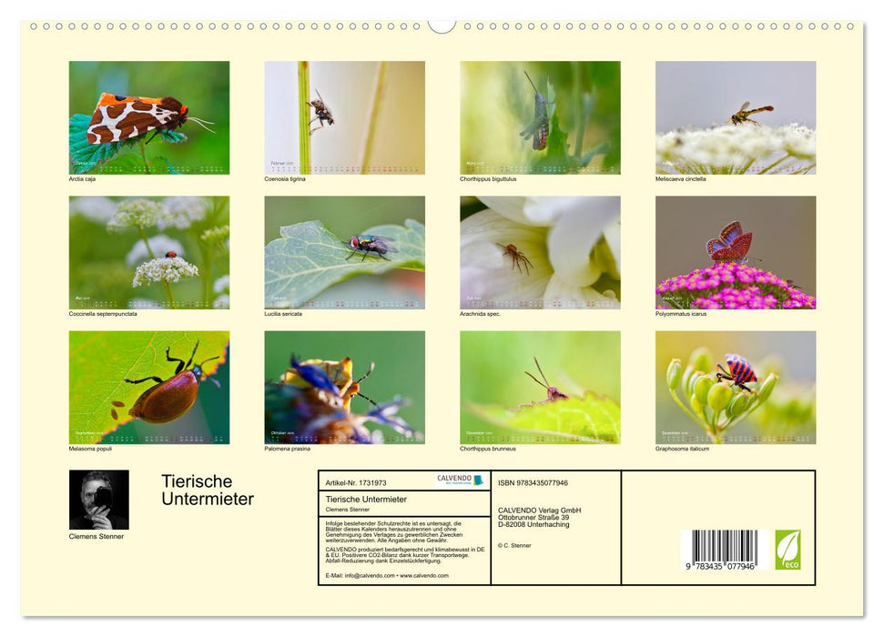 Tierische Untermieter (CALVENDO Premium Wandkalender 2025)