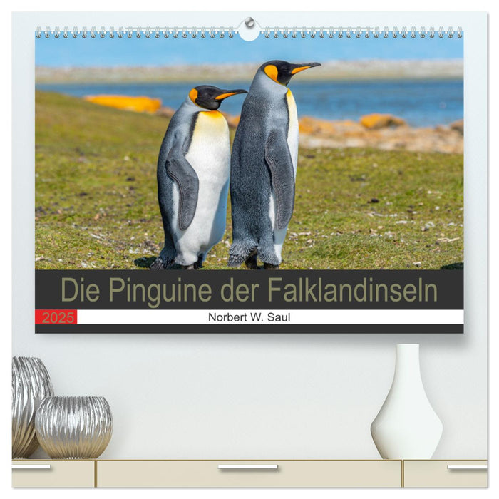 Die Pinguine der Falklandinseln (CALVENDO Premium Wandkalender 2025)