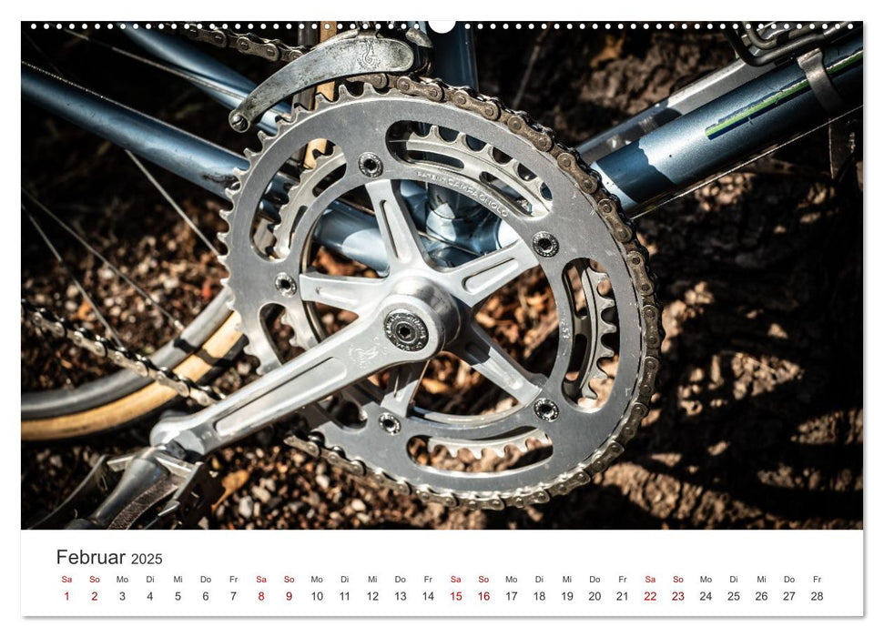 Stahlrenner - Rennrad-Klassiker aus Europa (CALVENDO Premium Wandkalender 2025)