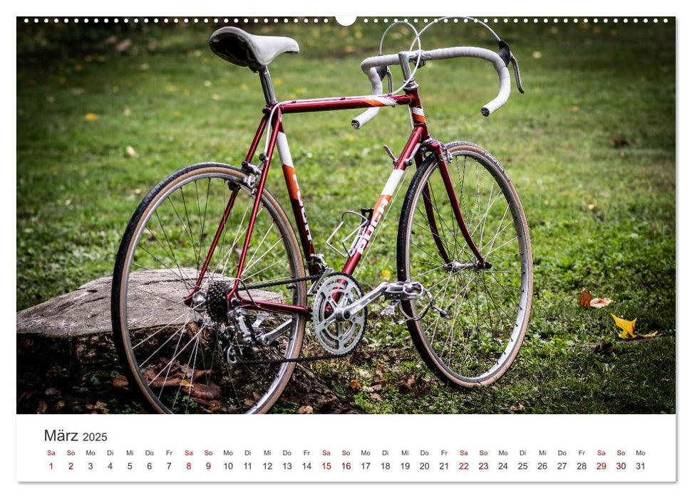 Stahlrenner - Rennrad-Klassiker aus Europa (CALVENDO Premium Wandkalender 2025)