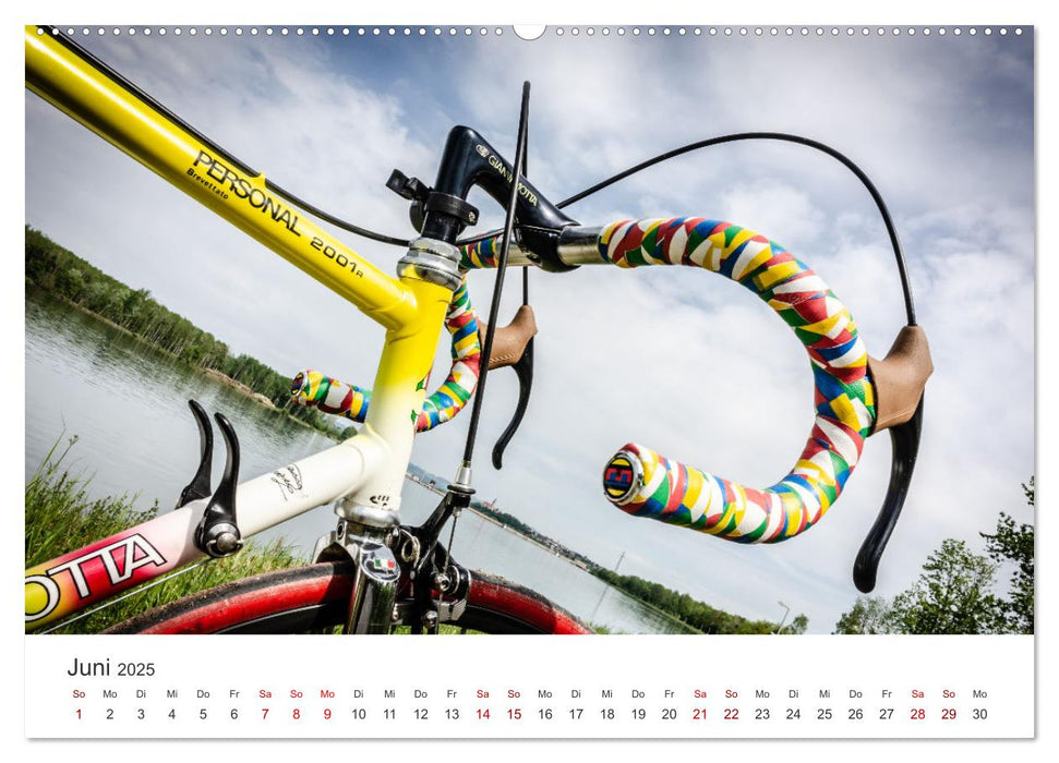 Stahlrenner - Rennrad-Klassiker aus Europa (CALVENDO Premium Wandkalender 2025)