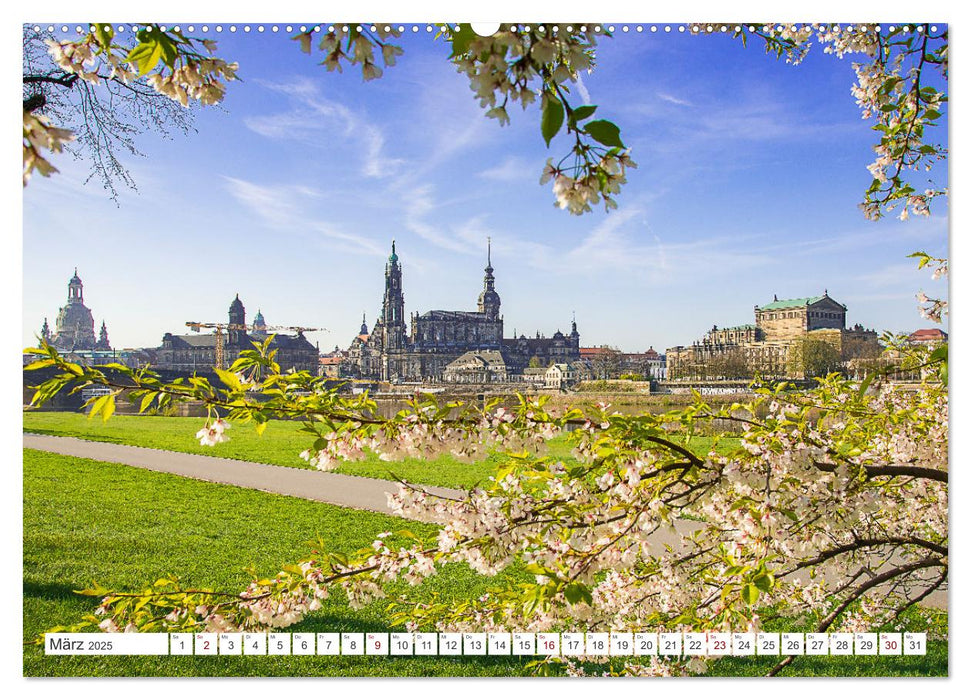 Dresden, Du Schöne. (CALVENDO Premium Wandkalender 2025)