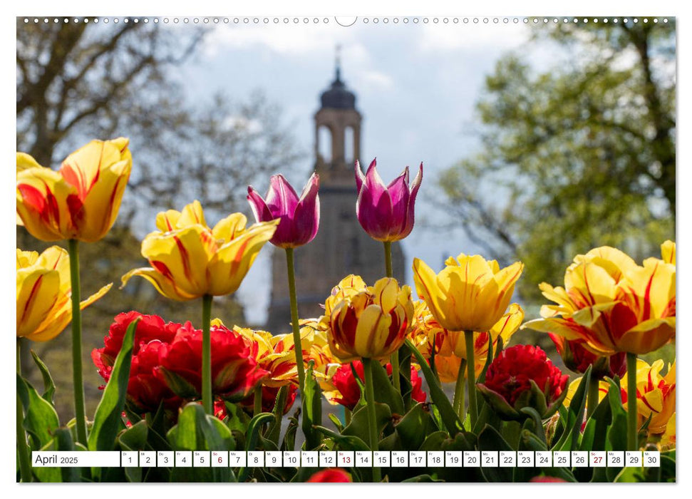 Dresden, Du Schöne. (CALVENDO Premium Wandkalender 2025)