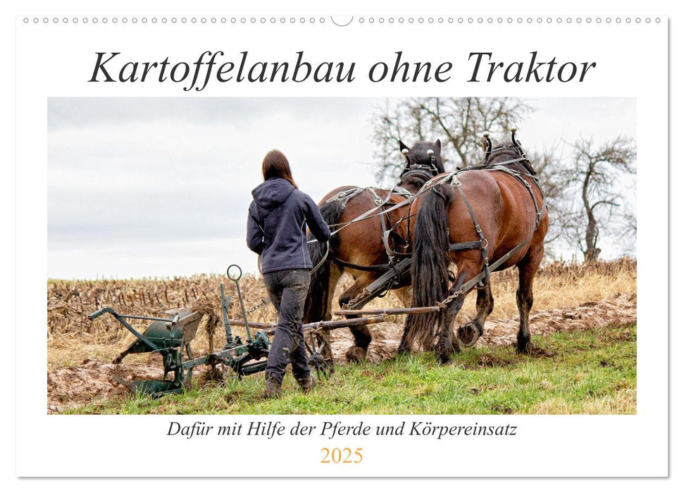 Kartoffelanbau ohne Traktor (CALVENDO Wandkalender 2025)