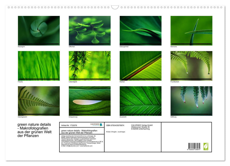 green nature details - Makrofotografien aus der grünen Welt der Pflanzen (CALVENDO Wandkalender 2025)