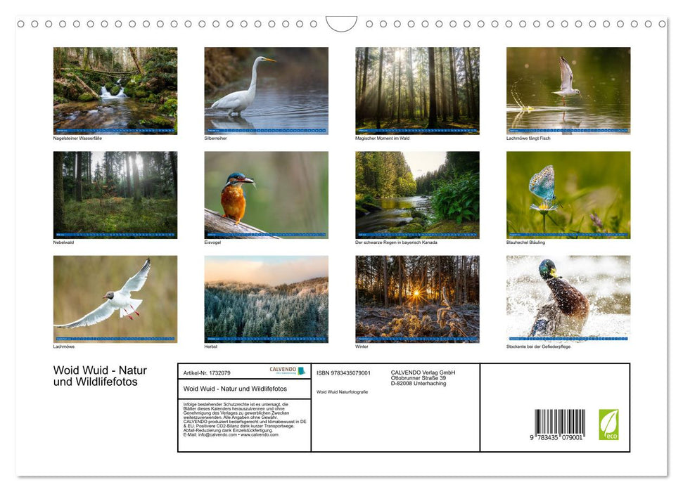 Woid Wuid - Natur und Wildlifefotos (CALVENDO Wandkalender 2025)