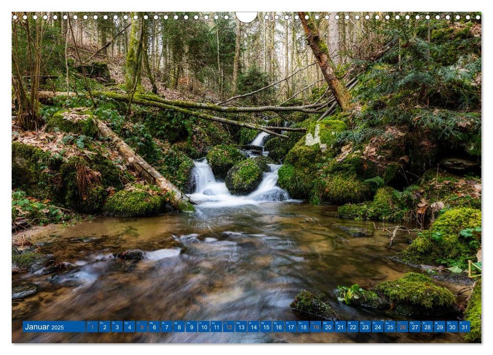 Woid Wuid - Natur und Wildlifefotos (CALVENDO Wandkalender 2025)