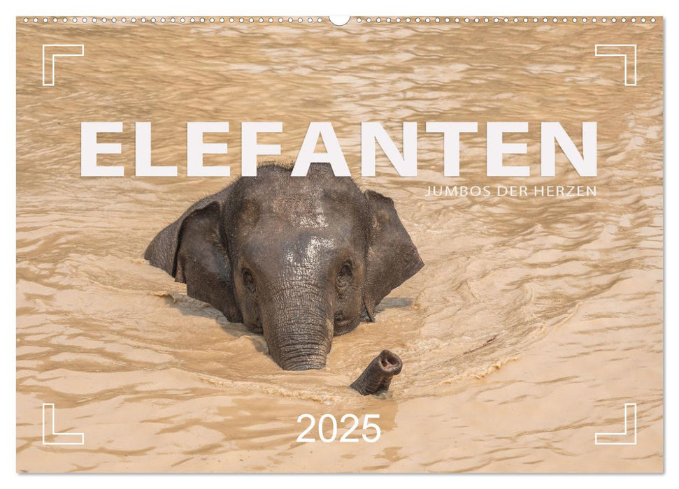 ELEFANTEN Jumbos der Herzen (CALVENDO Wandkalender 2025)