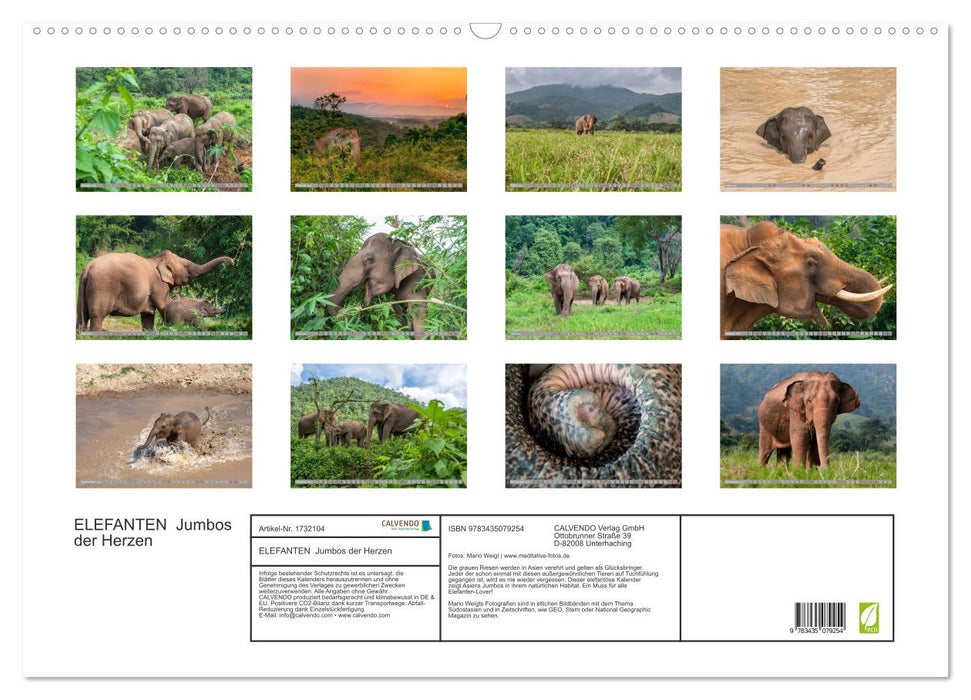 ELEFANTEN Jumbos der Herzen (CALVENDO Wandkalender 2025)