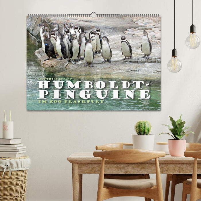 HUMBOLDTPINGUINE (CALVENDO Wandkalender 2025)