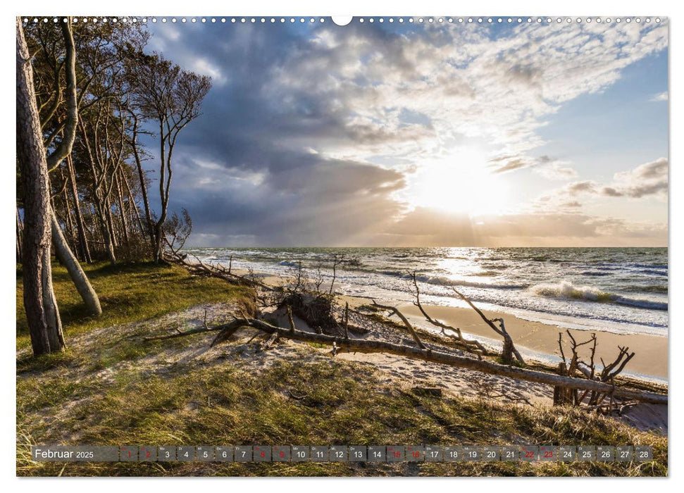 OSTSEEKÜSTE Sehnsuchtsorte in Mecklenburg-Vorpommern (CALVENDO Wandkalender 2025)