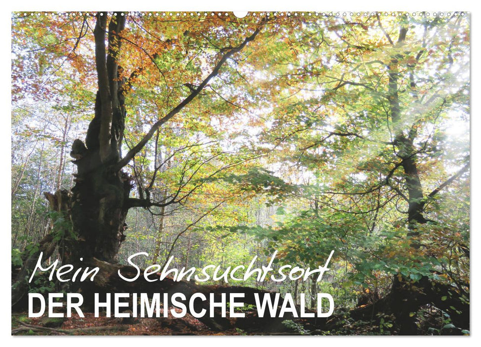 Mein Sehnsuchtsort, der heimische Wald (CALVENDO Wandkalender 2025)