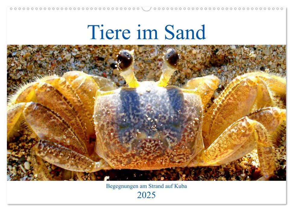 Tiere im Sand - Begegnungen am Strand auf Kuba (CALVENDO Wandkalender 2025)