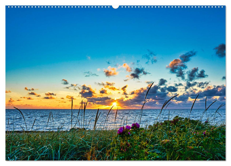 Dänemark - Eindrücke Vom Ringköbing Fjord bis Bovbjerg (CALVENDO Wandkalender 2025)