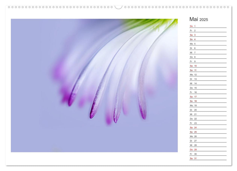 DEEP INSIDE - Blütenmakros als Monatsplaner (CALVENDO Wandkalender 2025)