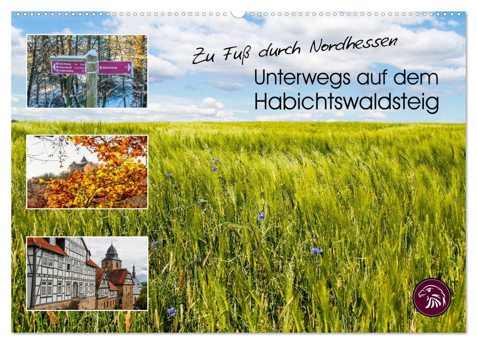 Zu Fuß durch Nordhessen - Unterwegs auf dem Habichtswaldsteig (CALVENDO Wandkalender 2025)