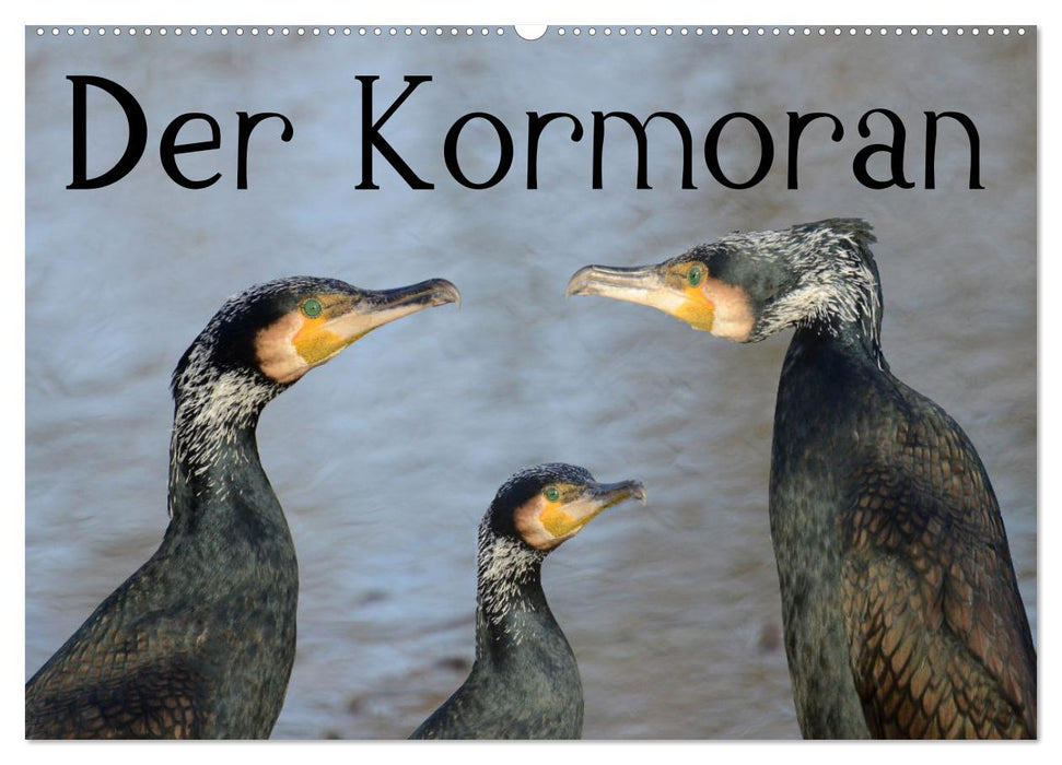 Der Kormoran (CALVENDO Wandkalender 2025)