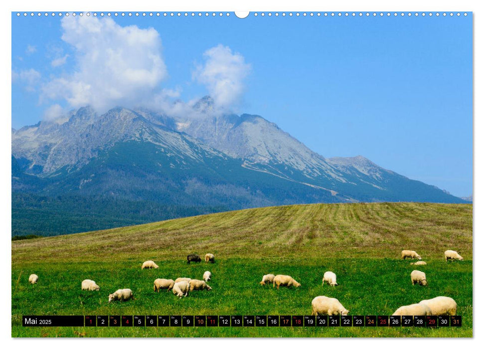 Slowakei - Eine Reise durch ein wunderschönes Land. (CALVENDO Premium Wandkalender 2025)