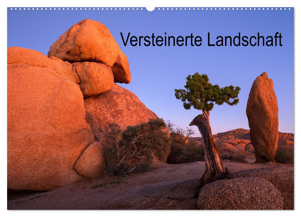 Versteinerte Landschaft (CALVENDO Wandkalender 2025)