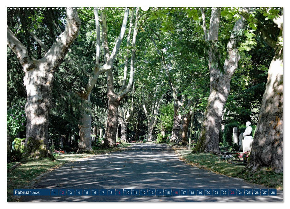 Hauptfriedhof Karlsruhe (CALVENDO Premium Wandkalender 2025)