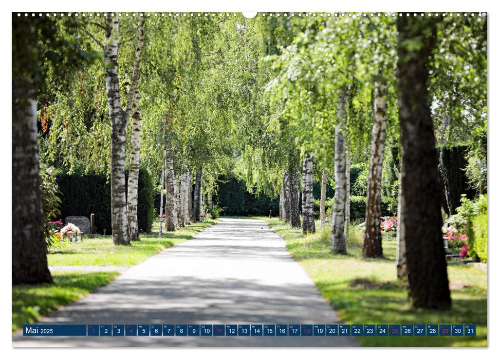 Hauptfriedhof Karlsruhe (CALVENDO Premium Wandkalender 2025)