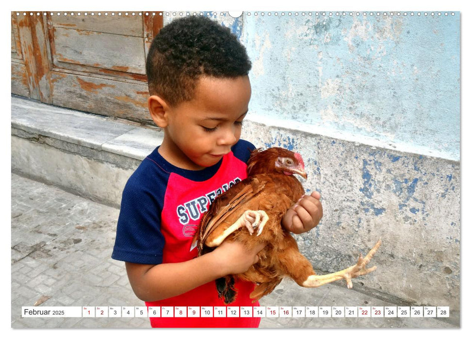 Tier-Kinder in Kuba - Begegnungen in Havanna (CALVENDO Wandkalender 2025)