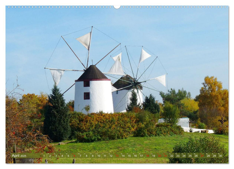 Gifhorn - Kleine Reise durch die Welt der Mühlen (CALVENDO Wandkalender 2025)