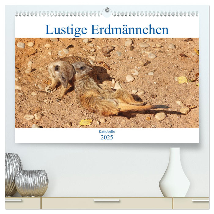 Lustige Erdmännchen (CALVENDO Premium Wandkalender 2025)