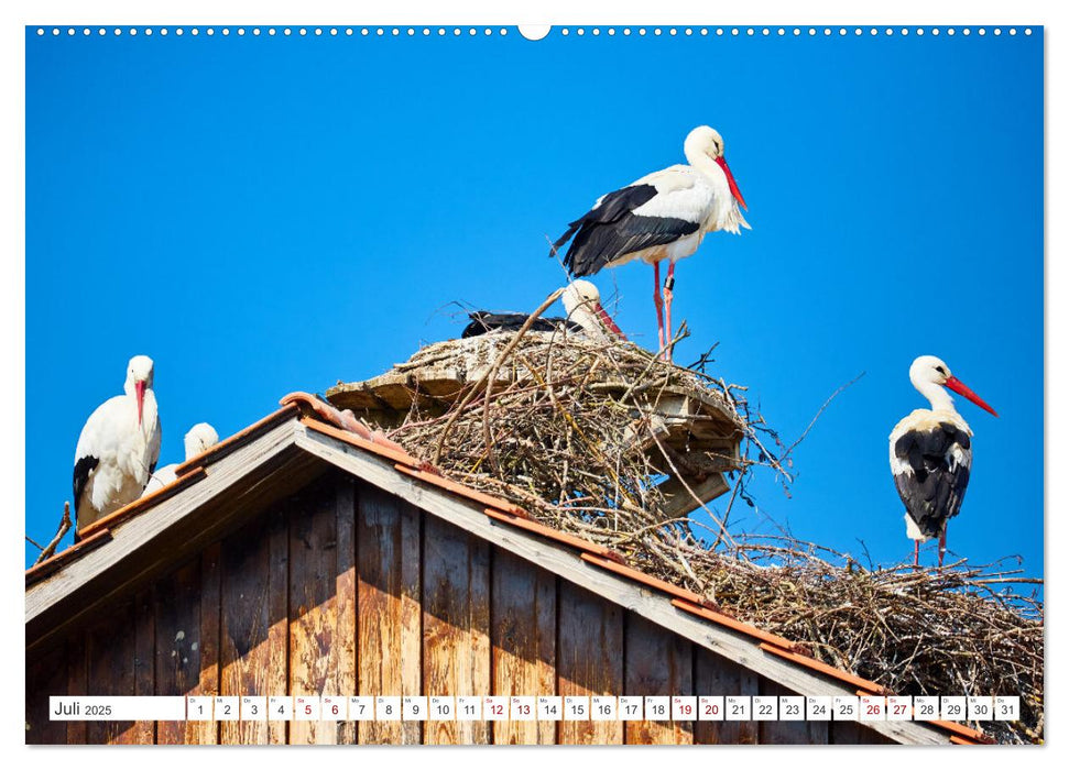 Überlingen - Oase am Bodensee (CALVENDO Premium Wandkalender 2025)