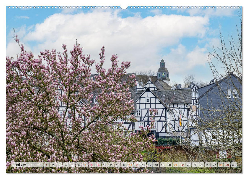 Freudenberg Impressionen (CALVENDO Wandkalender 2025)