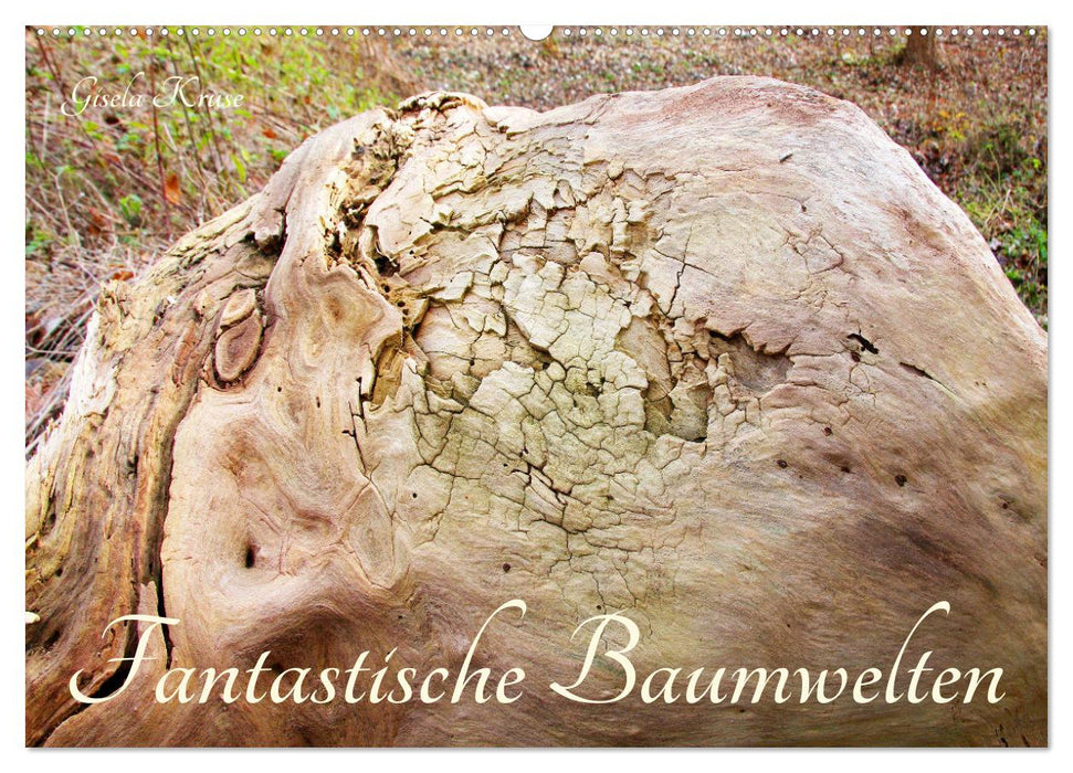 Fantastische Baumwelten (CALVENDO Wandkalender 2025)