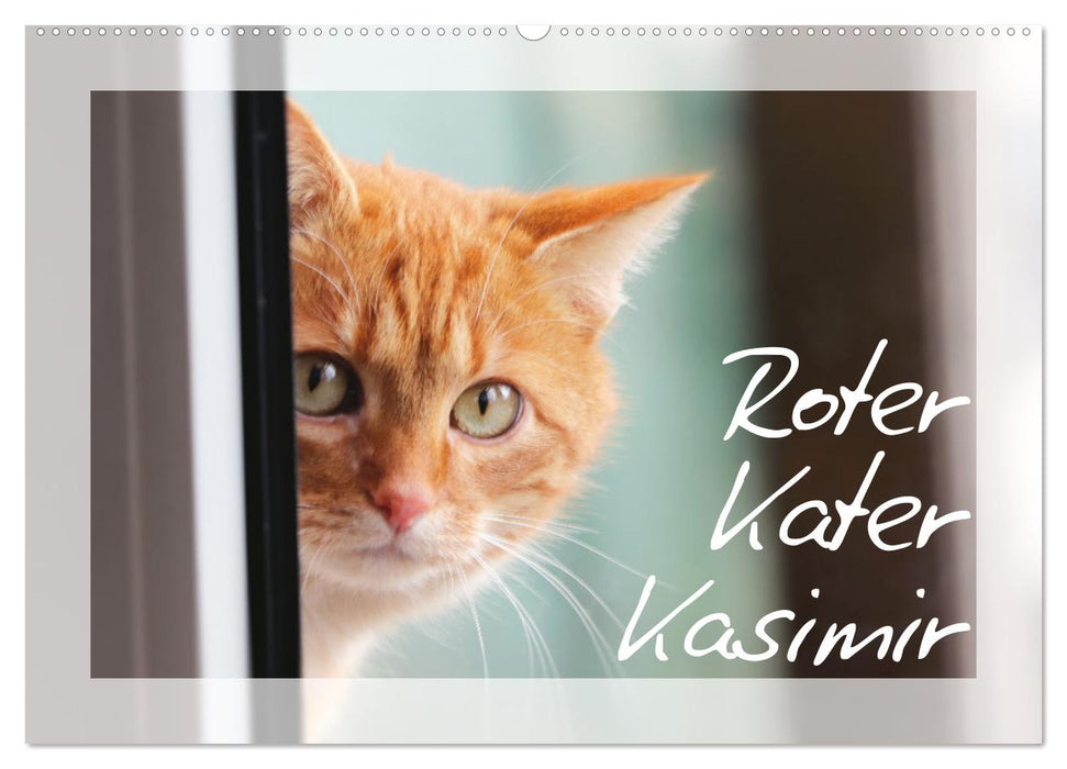 Roter Kater Kasimir (CALVENDO Wandkalender 2025)