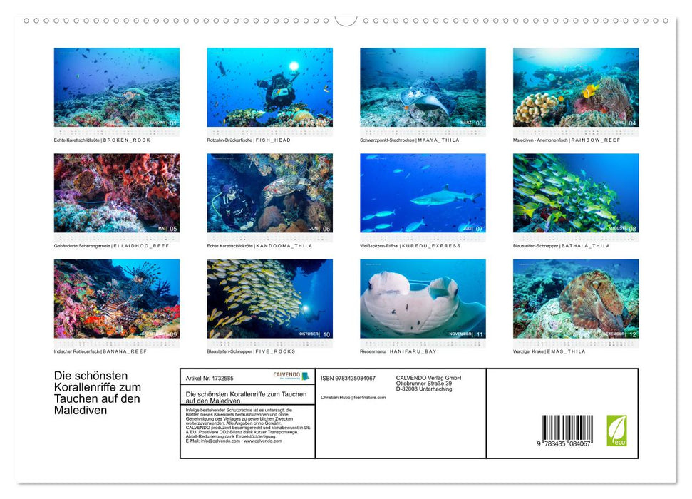 Die schönsten Korallenriffe zum Tauchen auf den Malediven (CALVENDO Premium Wandkalender 2025)