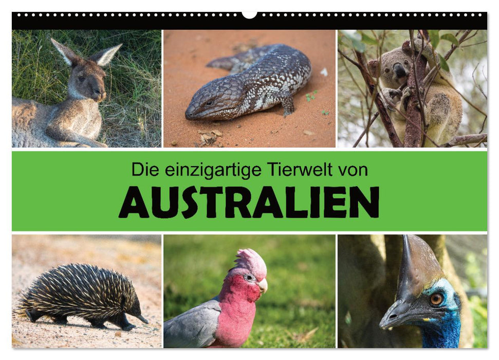 Die einzigartige Tierwelt von Australien (CALVENDO Wandkalender 2025)