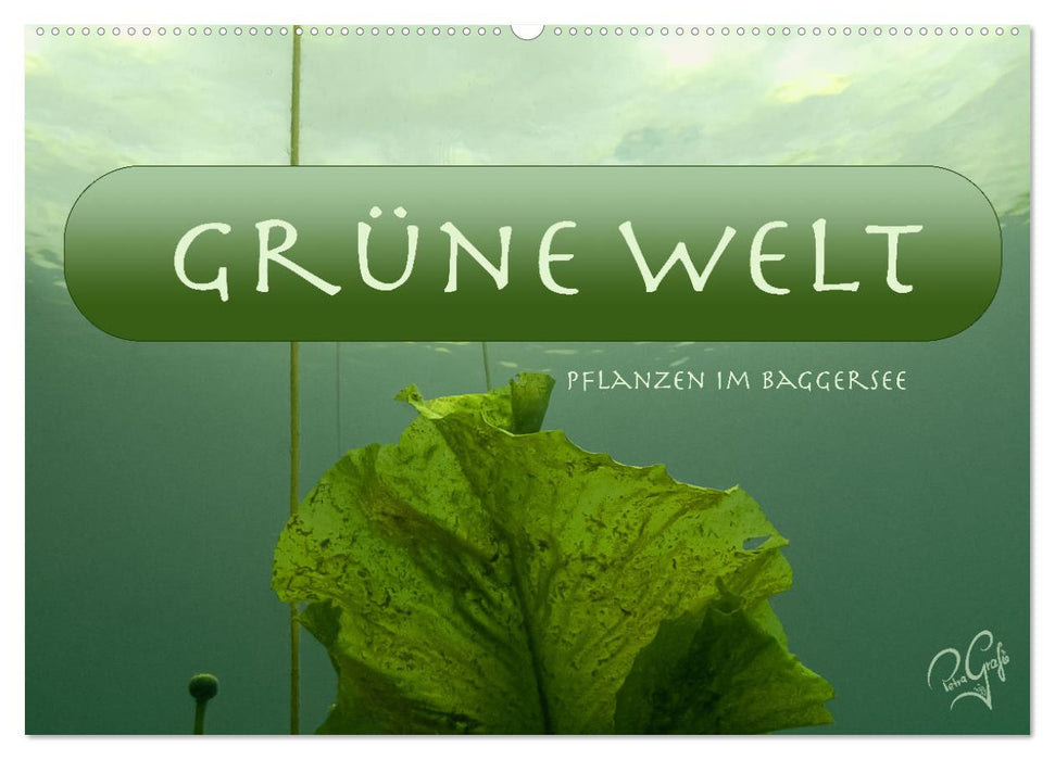 Baggersee - die grüne Welt (CALVENDO Wandkalender 2025)