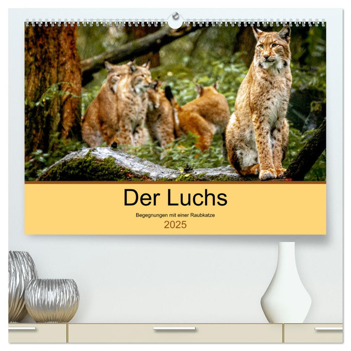 Der Luchs - Begegnungen mit einer Raubkatze (CALVENDO Premium Wandkalender 2025)