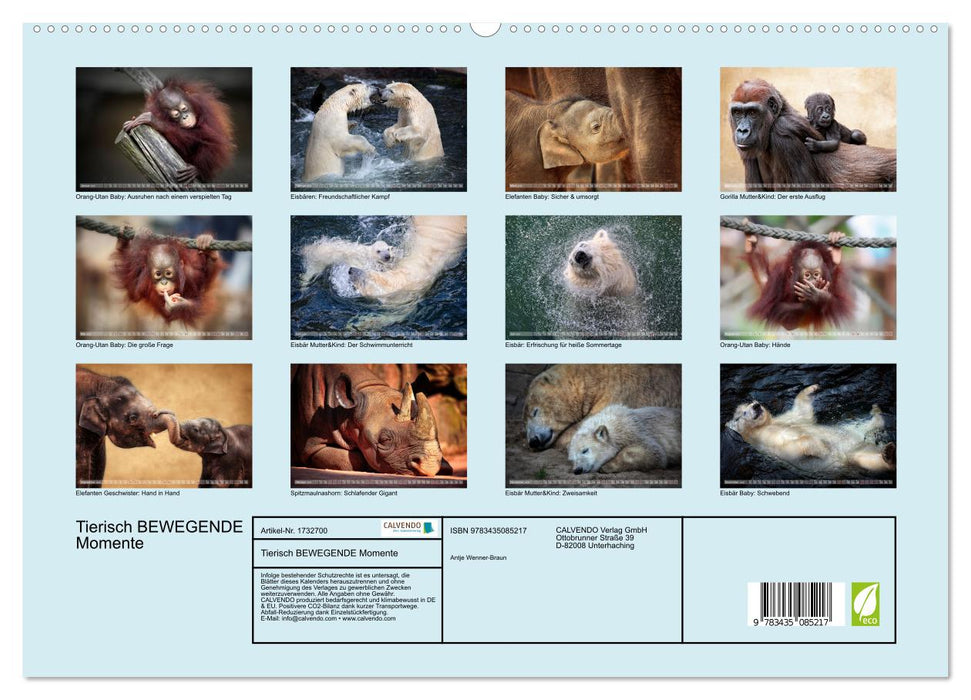 Tierisch BEWEGENDE Momente (CALVENDO Premium Wandkalender 2025)