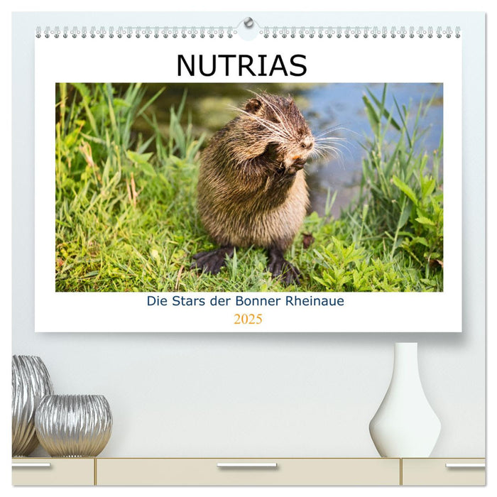 NUTRIAS - Die Stars der Bonner Rheinaue (CALVENDO Premium Wandkalender 2025)