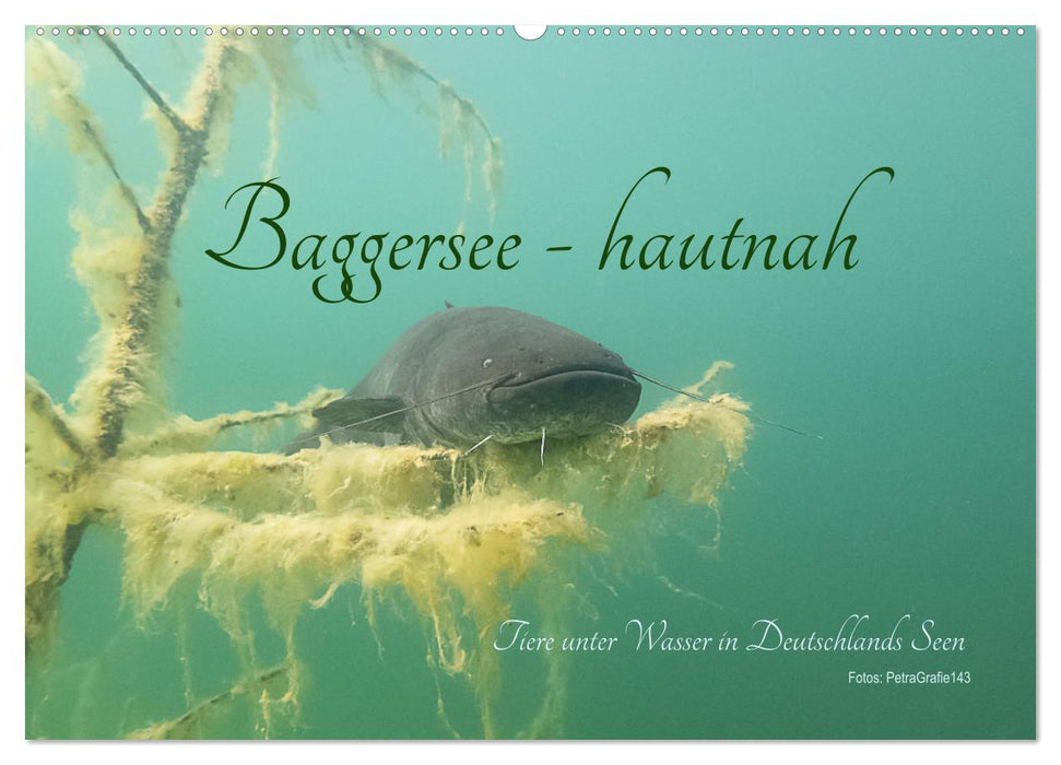 Baggersee -hautah (CALVENDO Wandkalender 2025)