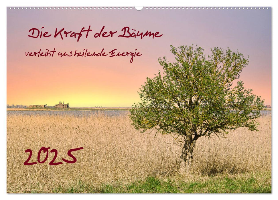 Die Kraft der Bäume (CALVENDO Wandkalender 2025)