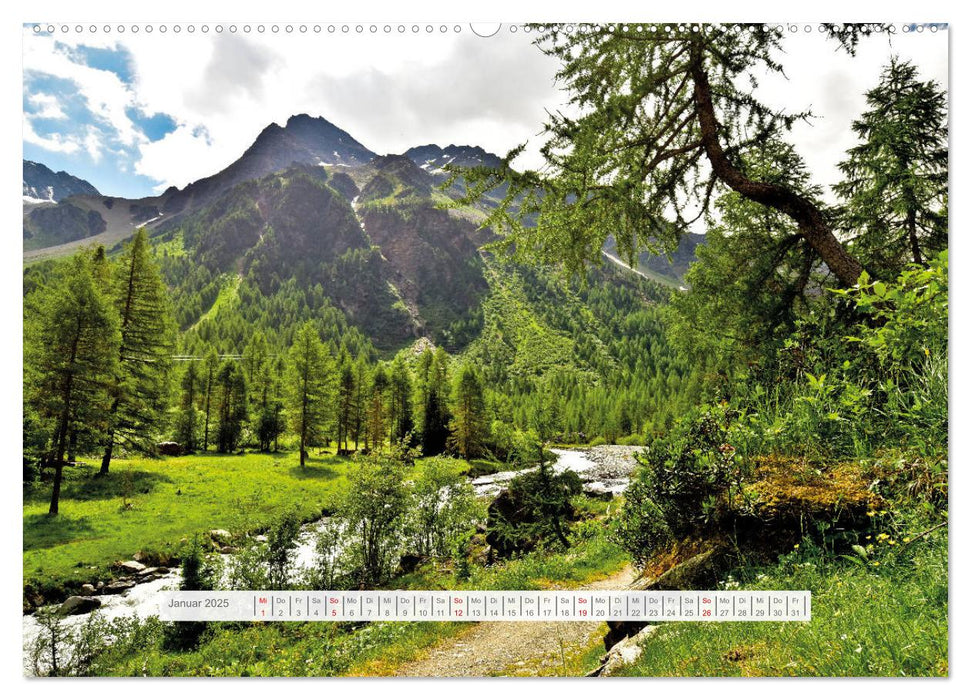 Sommer im Vinschgau (CALVENDO Premium Wandkalender 2025)