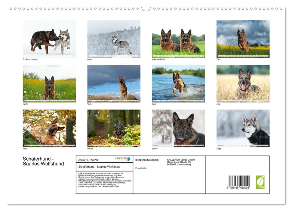 Schäferhund - Saarlos Wolfshund (CALVENDO Wandkalender 2025)