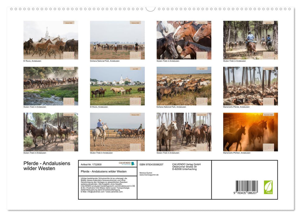 Pferde - Andalusiens wilder Westen (CALVENDO Premium Wandkalender 2025)