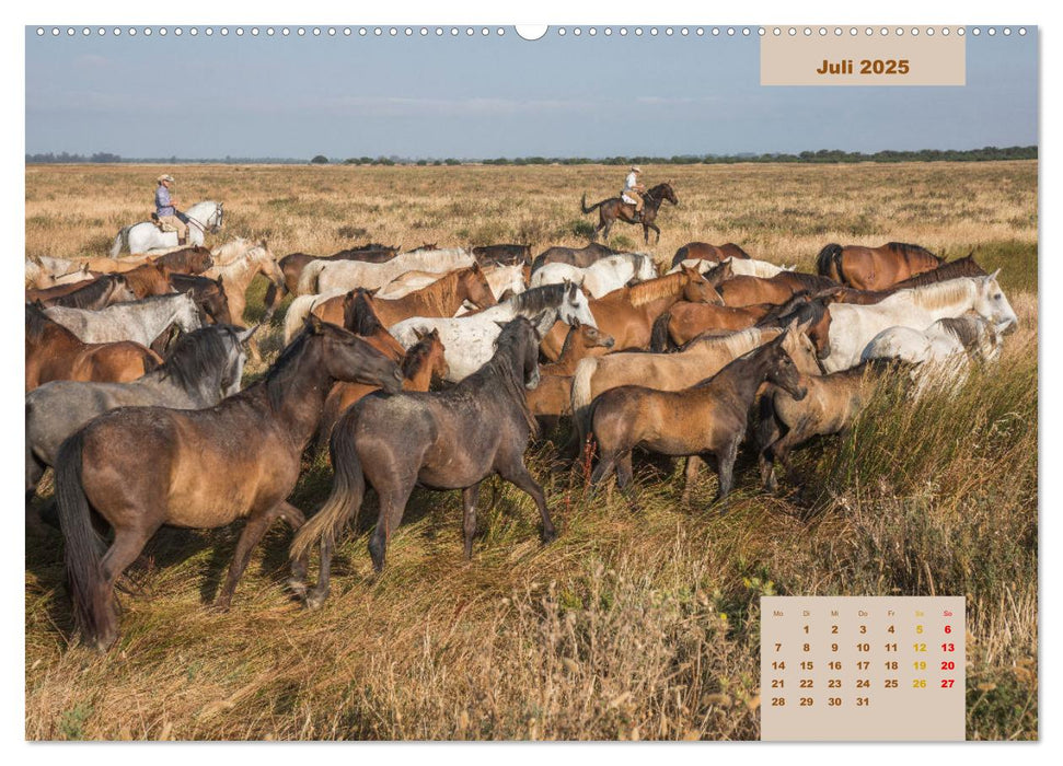 Pferde - Andalusiens wilder Westen (CALVENDO Premium Wandkalender 2025)