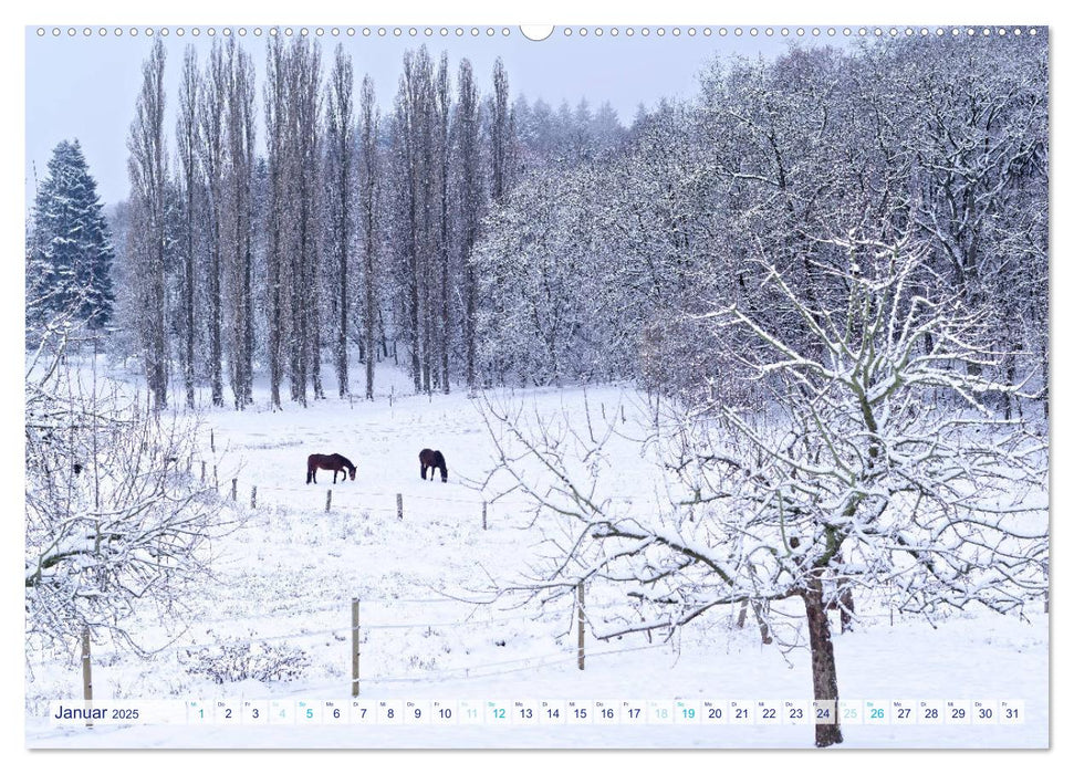 Traumhafter Taunus (CALVENDO Premium Wandkalender 2025)