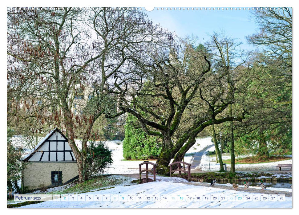 Traumhafter Taunus (CALVENDO Premium Wandkalender 2025)